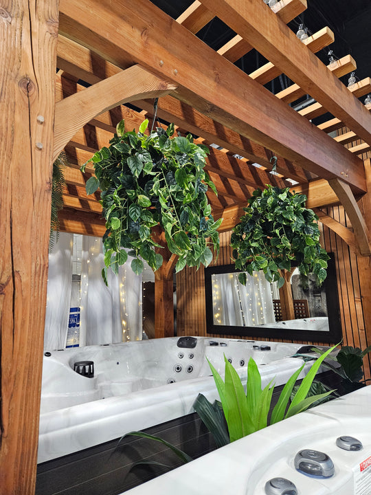 Pothos Hanging Basket - UV Protected