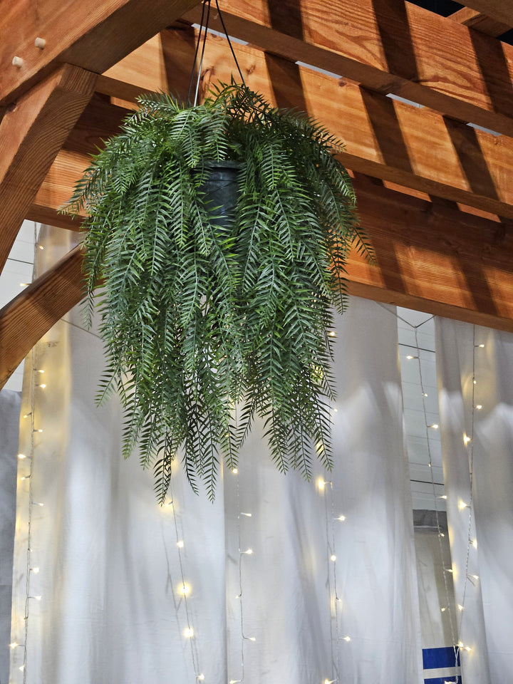 Pepper Vines in a Hanging Basket - UV Protected