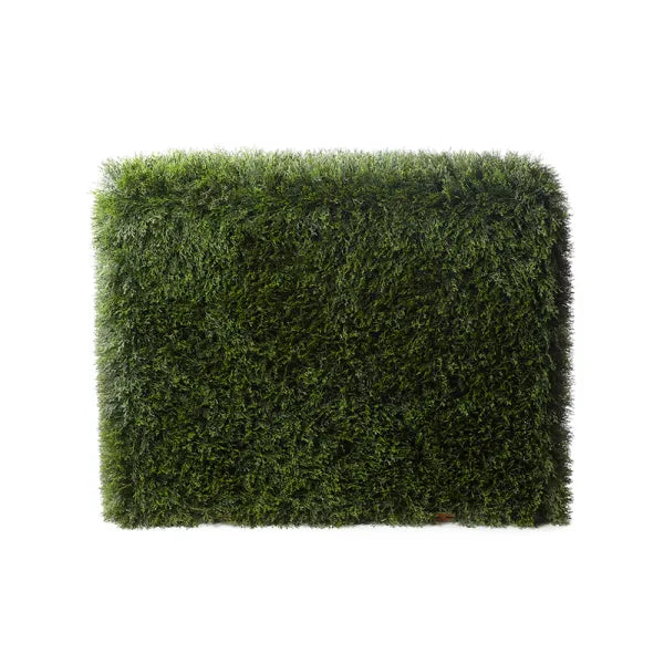 Tuscany Cedar Hedge - UV Protected