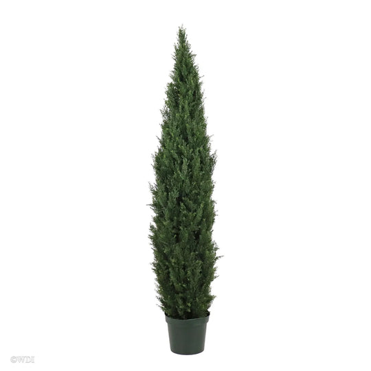 Tuscany Cedar, 5ft (UV protected)