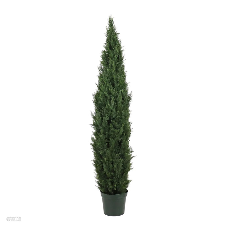 Tuscany Cedar, 5ft (UV protected)