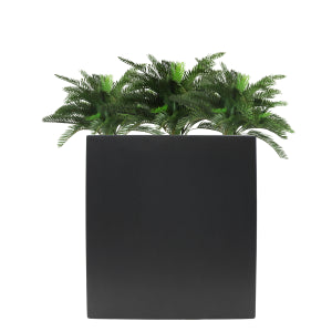Cycas in Cora Trough 4ft UV Protected