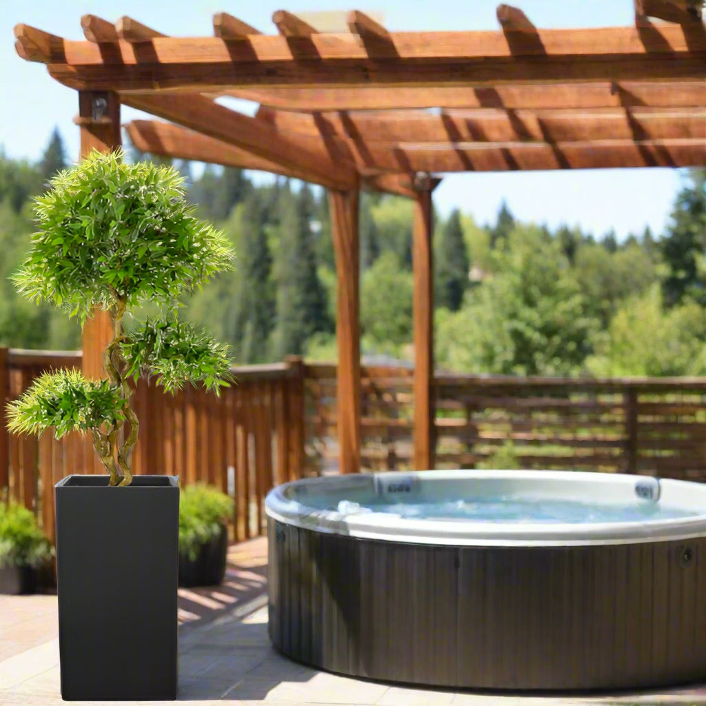 French Ficus 7.5ft - UV Protected